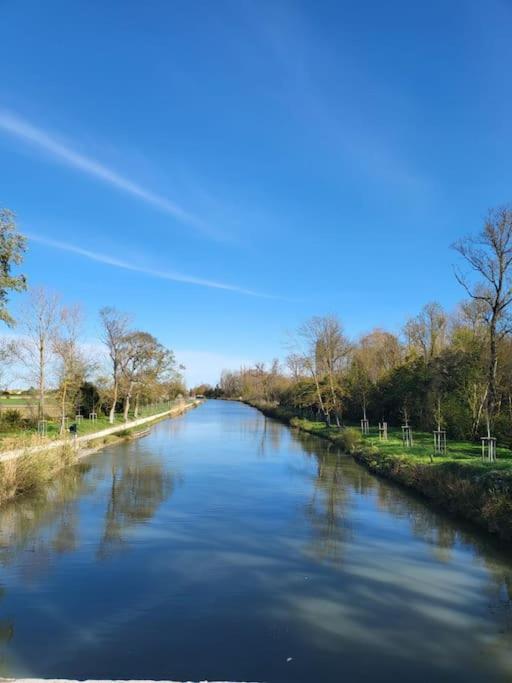 Hebergement - Canal Du Midi Saint-Martin-Lalande Экстерьер фото