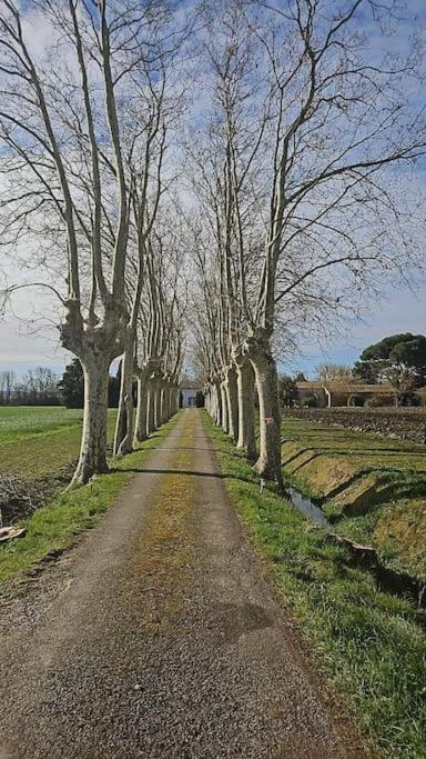 Hebergement - Canal Du Midi Saint-Martin-Lalande Экстерьер фото